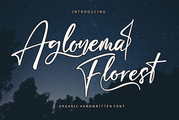 Aglonema Florest: A Script Font That Elevates Your Brand