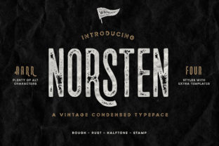 Font Choice That Works: Why Norsten Fits My Website Project