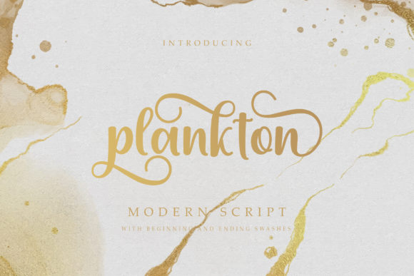 Plankton: A Script Font for Editorial Elegance