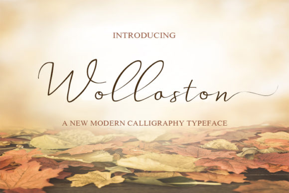 Wollaston: A Script Font for Campaigns That Speak with Personality